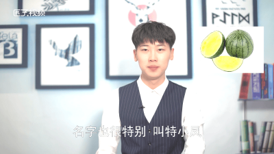 3月份特小凤西瓜产地在哪里 广东特小凤西瓜在什么产地