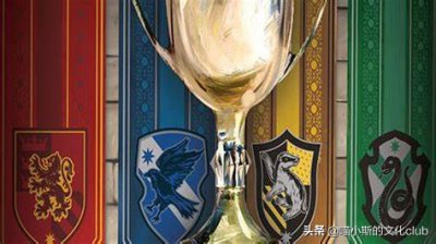​哈利波特学院分类（哈利波特学院分类游戏）