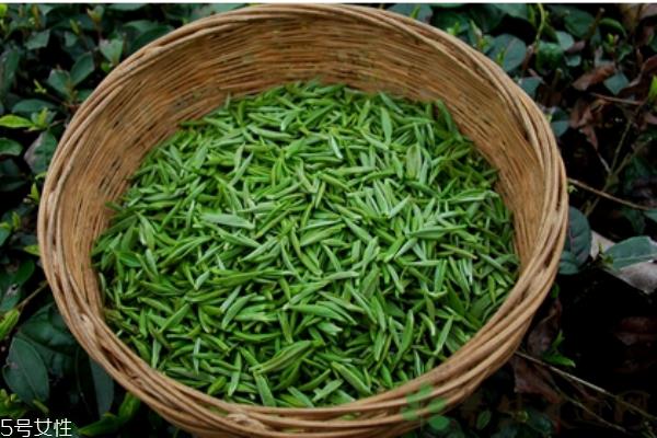 冬季上火喝什么茶能有效降火