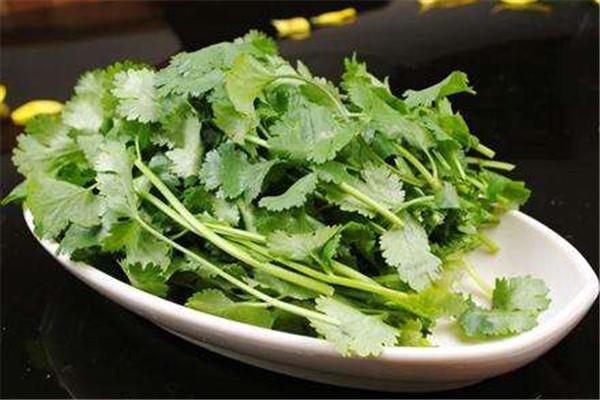 香菜能减肥吗 香菜怎么吃好