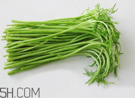 藜蒿多少钱一斤？藜蒿和芦蒿是同一种菜吗？