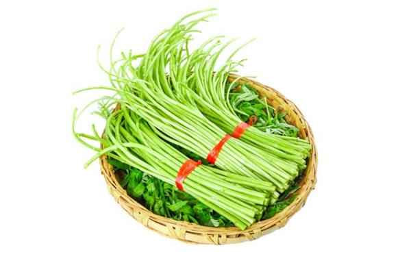 泥蒿是茼蒿吗 泥蒿和茼蒿的区别