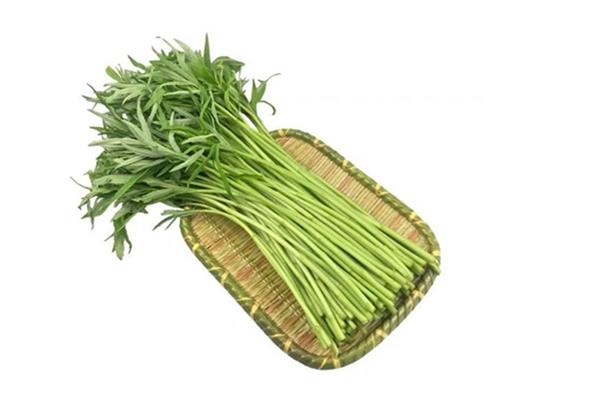 泥蒿是茼蒿吗 泥蒿和茼蒿的区别