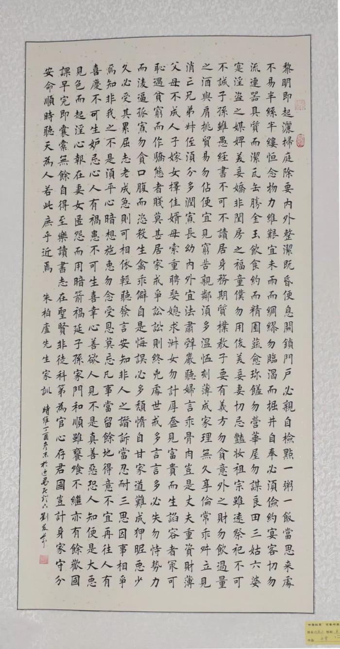 超关注：红草镇“书画盛宴”