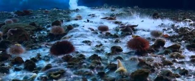 神奇自然现象死亡冰柱，所到之处生物无一生还，生命起源于这里？