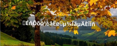 ​原神怎么解锁去稻香的任务（原神如何解锁冲破雷暴之法)