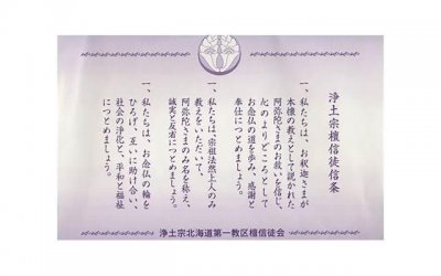​84岁大爷相亲，只搭伙不给钱财产留给儿子，大妈：我可不当冤大头