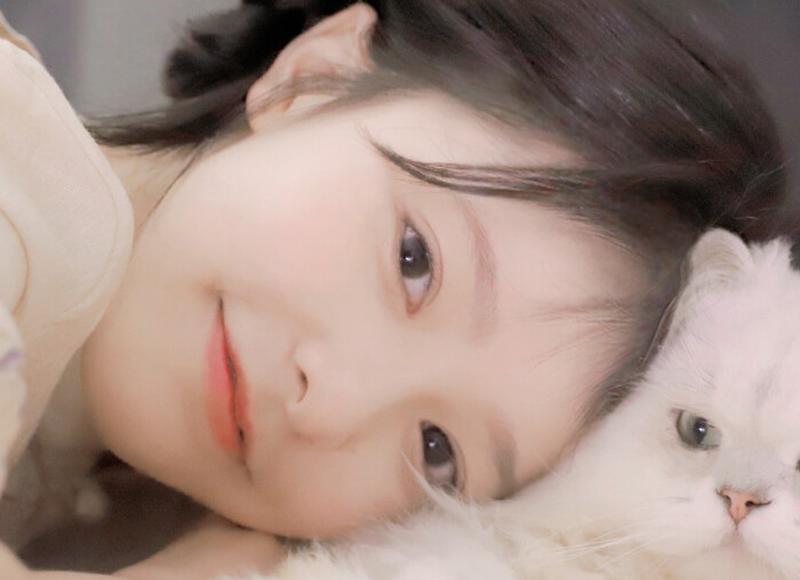 挽回爱情的方法武器——了解什么狗适合女人养晚上用