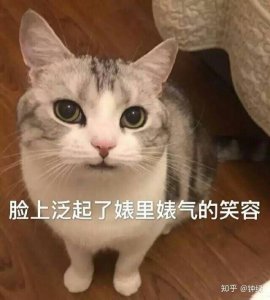 ​40对恩爱的娱乐圈夫妻/cp，你最爱哪一对