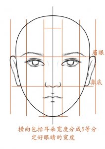 ​头部五官比例划分/三庭五眼