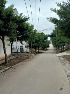 ​寒门还可以出贵子吗