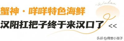 ​三店齐开！武汉网红美食齐聚复兴村，带火一条街！