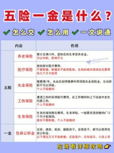 ​五险一金重要吗（五险一金能自己交吗）