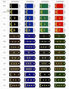 ​如何了解中国军官等级杠星划分图解(看图)