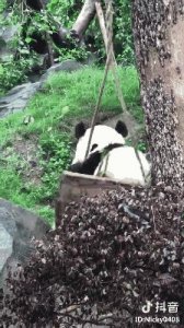 ​成都耍抖音，去这些“打卡地”必火！时尚安逸DOU起来