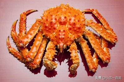 ​帝王蟹泛滥成灾，为何价格依然昂贵？