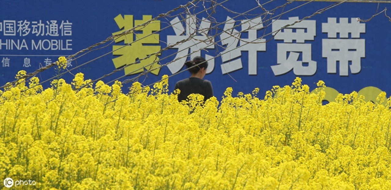 什么是“光纤宽带”？“光纤宽带”好在哪？
