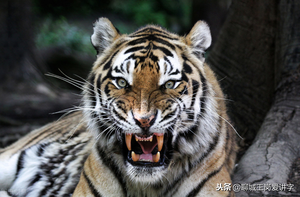 开火是什么字 _烎和兲怎么读意思 开火是什么字 _烎和兲怎么读意思