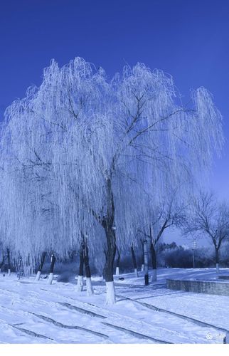 四、铁岭县雾凇岛