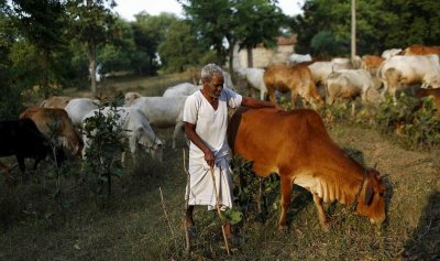 印度种姓制把人分几等?莫迪什么种姓?低种姓的他为何能当总理?