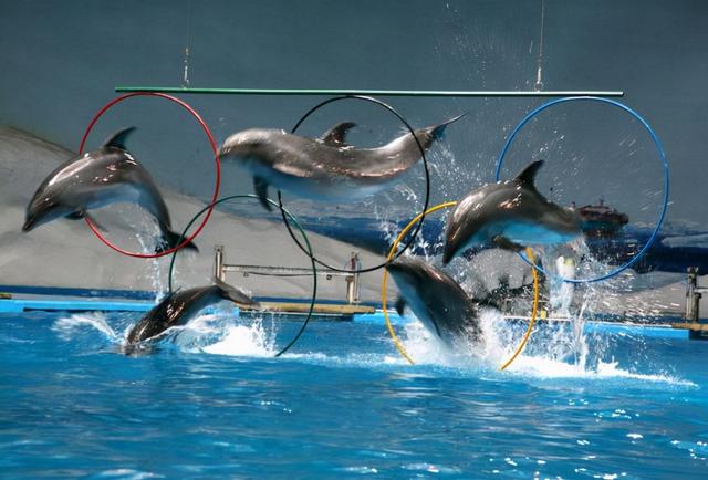 青岛旅游必去十大景点排名(青岛人气景点盘点)(26)
