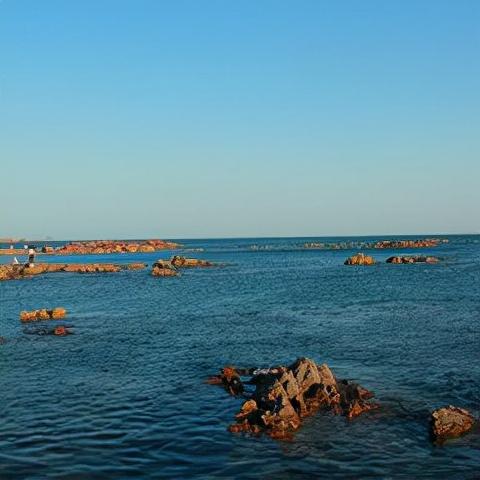 青岛旅游必去十大景点排名(青岛人气景点盘点)(7)