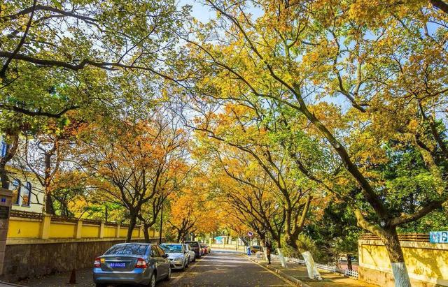 青岛旅游必去十大景点排名(青岛人气景点盘点)(4)