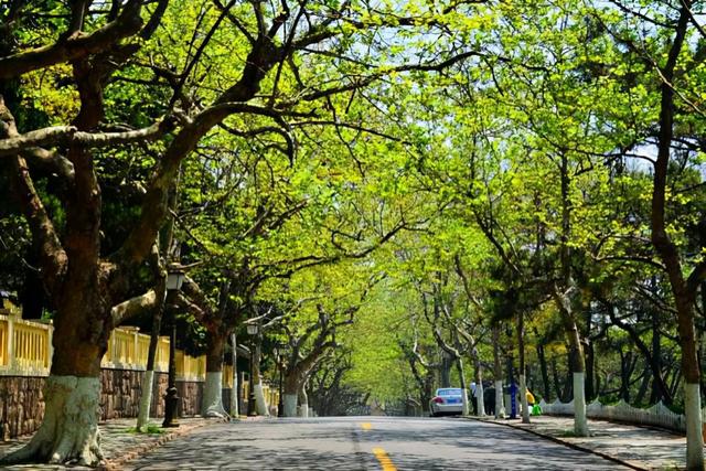 青岛旅游必去十大景点排名(青岛人气景点盘点)(3)