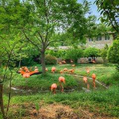 青岛旅游必去十大景点排名(青岛人气景点盘点)(37)