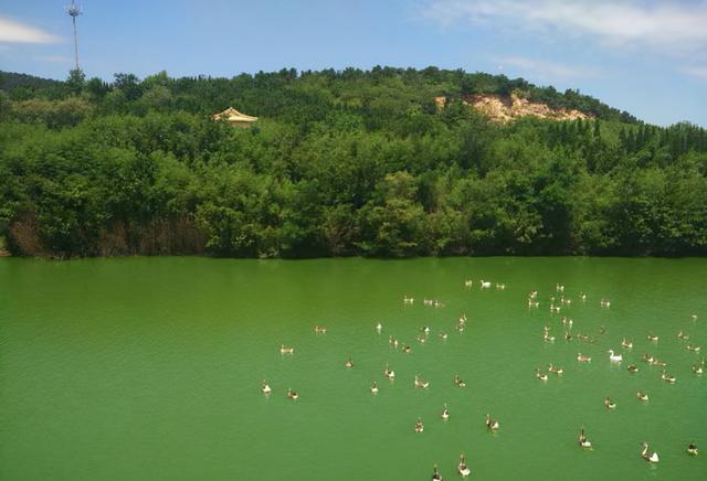 青岛旅游必去十大景点排名(青岛人气景点盘点)(36)