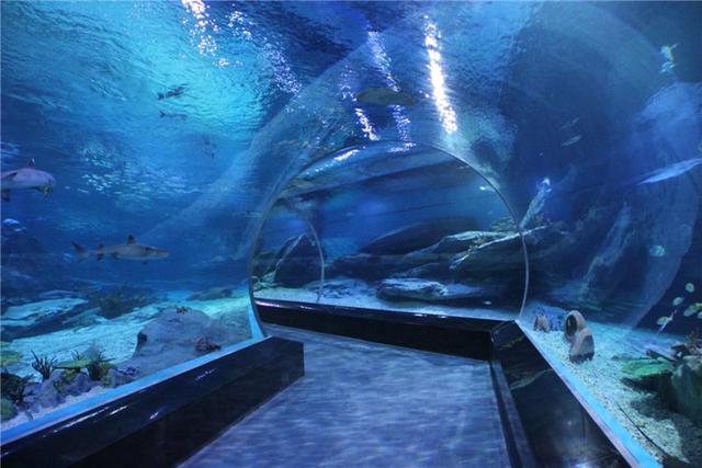 青岛旅游必去十大景点排名(青岛人气景点盘点)(27)