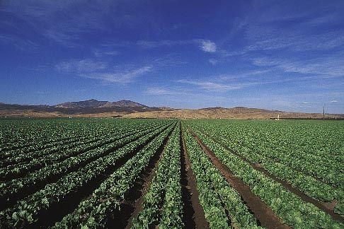 美国人的一些生活习惯(美国人在日常生活中能有多浪费资源)(5)
