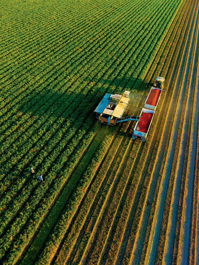 美国人的一些生活习惯(美国人在日常生活中能有多浪费资源)(7)