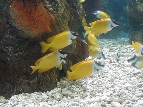 大连有几个海滨浴场哪个好(大连海滨浴场全攻略)(19)