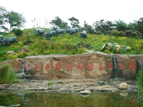 大连有几个海滨浴场哪个好(大连海滨浴场全攻略)(24)