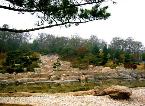 大连有几个海滨浴场哪个好(大连海滨浴场全攻略)(6)