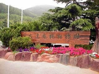 大连有几个海滨浴场哪个好(大连海滨浴场全攻略)(25)