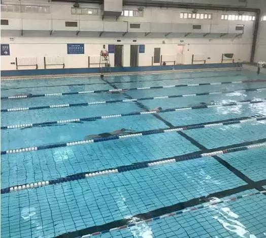 上海没有好的游泳池吗(降温都是骗人的)(15)