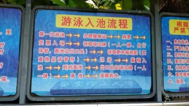 上海没有好的游泳池吗(降温都是骗人的)(21)