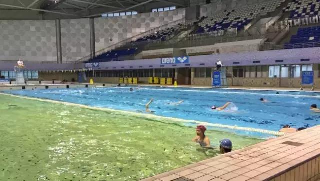 上海没有好的游泳池吗(降温都是骗人的)(16)