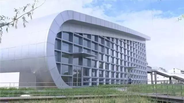 上海没有好的游泳池吗(降温都是骗人的)(26)