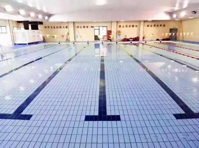 上海没有好的游泳池吗(降温都是骗人的)(14)