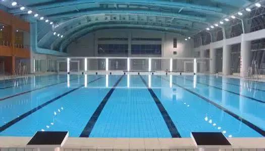 上海没有好的游泳池吗(降温都是骗人的)(8)