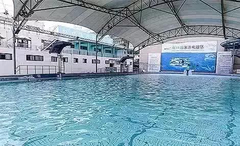 上海没有好的游泳池吗(降温都是骗人的)(20)