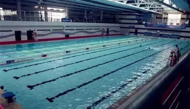 上海没有好的游泳池吗(降温都是骗人的)(30)