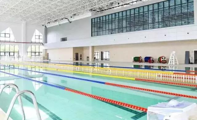 上海没有好的游泳池吗(降温都是骗人的)(11)