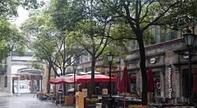 上海最值得去的免费景点推荐(最新上海22个免费游玩的景点)(11)