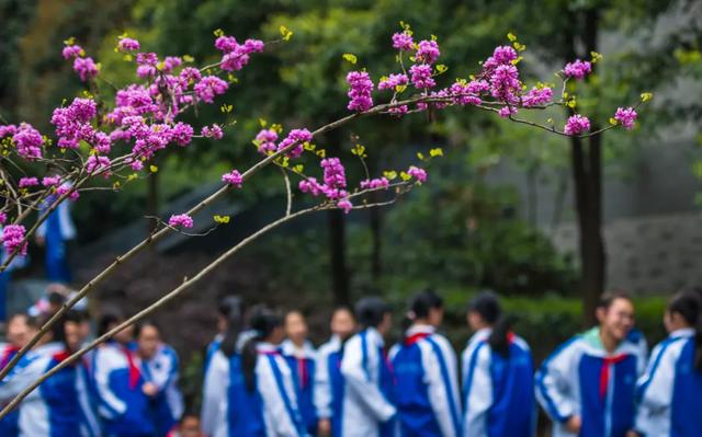 成都石室最好的校区(靠实力和成绩说话的石室天府)(22)