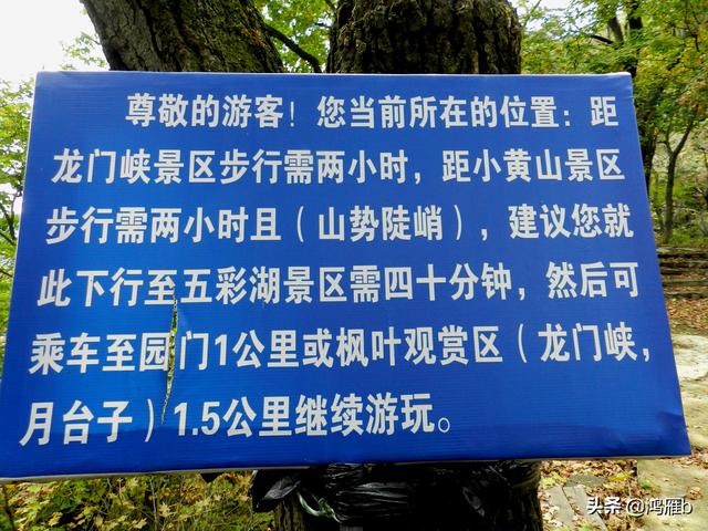 本溪大峡谷一日游攻略(本溪最具挑战的旅游线路)(90)
