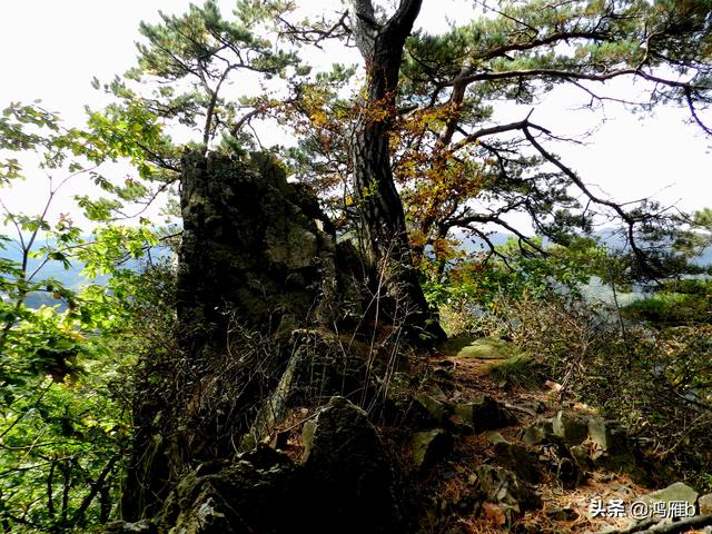 本溪大峡谷一日游攻略(本溪最具挑战的旅游线路)(43)